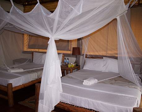 Ishasha Jungle Lodge uganda 7 africa tours