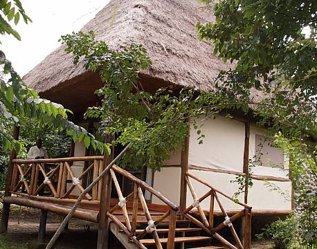 Ishasha Jungle Lodge uganda 8 africa tours