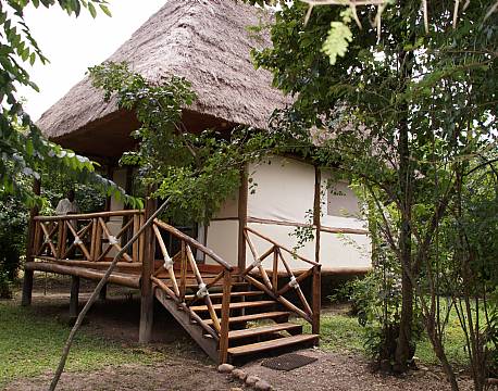Ishasha Jungle Lodge uganda 9 africa tours