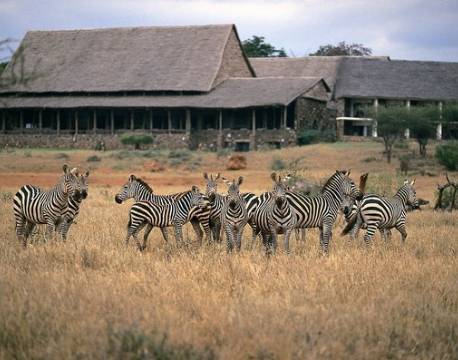 Kilaguni Serena Lodge, Kenya 3 africa tours