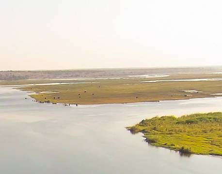 Chobe Safari Lodge Botswana 11 africa tours