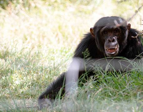 Sweetwaters kenya africa tours