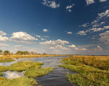 Moremi/Khwai botswana africa tours