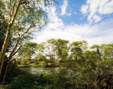 Tsavo Kenya africa tours