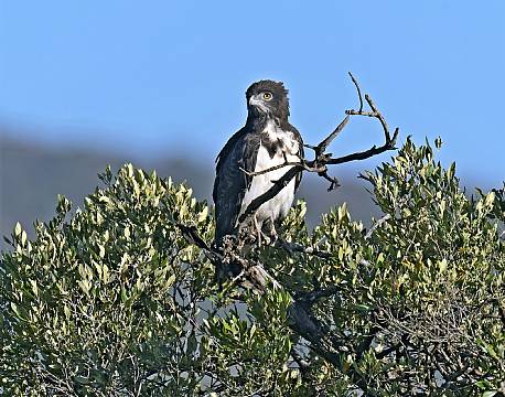 Lake Nakuru kenya africa tours