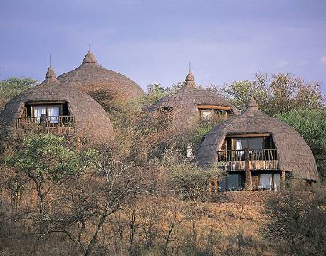 Bungalows på Serengeti Serena Lodge, Tanzania 3 africa tours