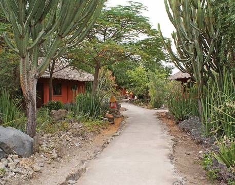 KIA Lodge, Arusha, Tanzania