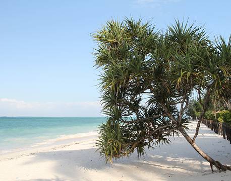 Zanzibar Tanzania indiske ocean africa tours