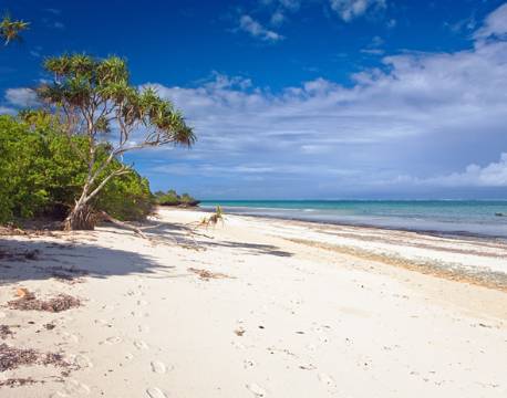 Mombasa Kenya indiske ocean africa tours