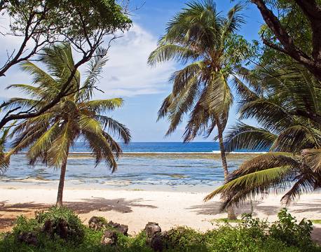 Mombasa Kenya indiske ocean africa tours