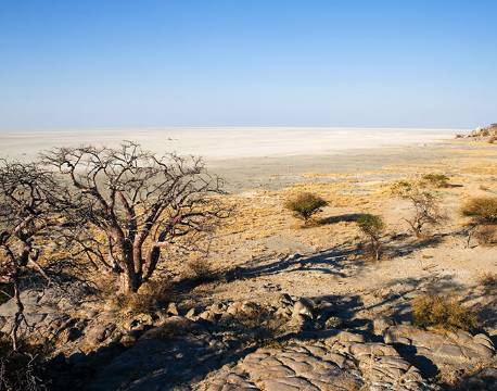 Udsigt fra Kubu island i Makgadikgadi, Botswana africa tours
