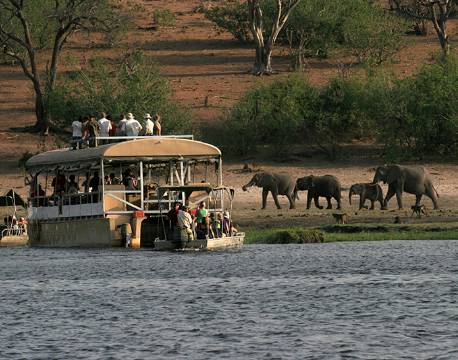 Turister studerer elefanterne langs Chobe flodens kant botswana africa tours