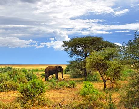 Lake Manyara Tanzania africa tours