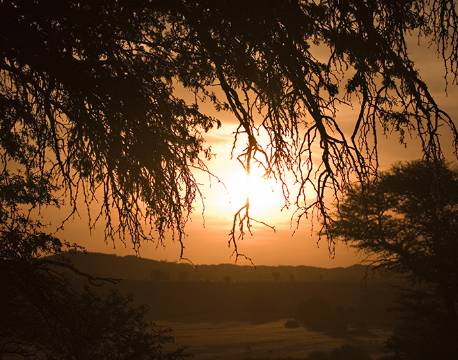 Kgalagadi Transfrontier Park sydafrika africa tours