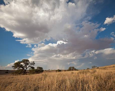 Kgalagadi Transfrontier Park sydafrika africa tours