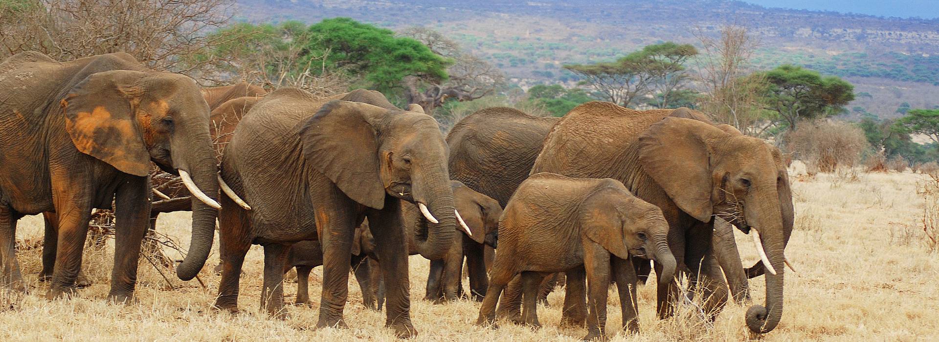 Depravedsex bilan shaxsiy videoni tomosha qiling