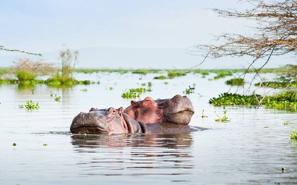Lake Naivasha