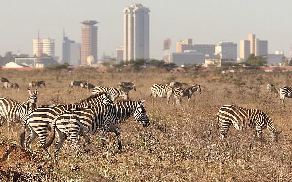 Nairobi Nasjonalpark