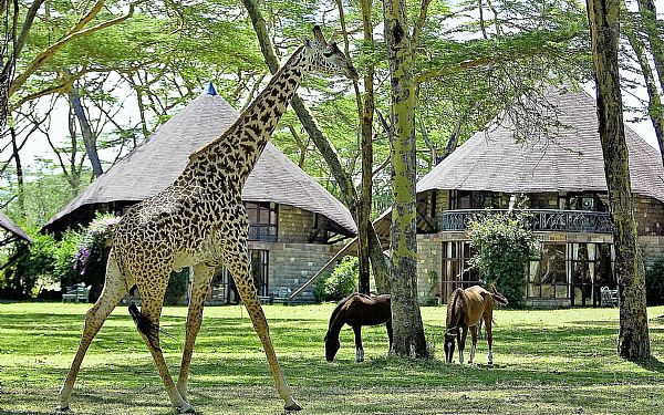 Lake Naivasha Sopa Lodge