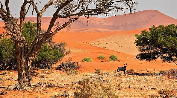 Namibia